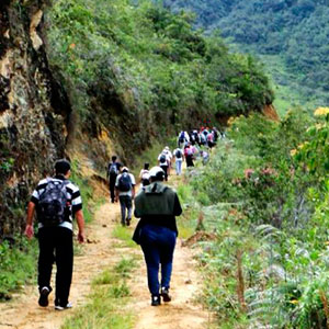 Caminata