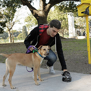 Recomendaciones para Pasear a tu mascota