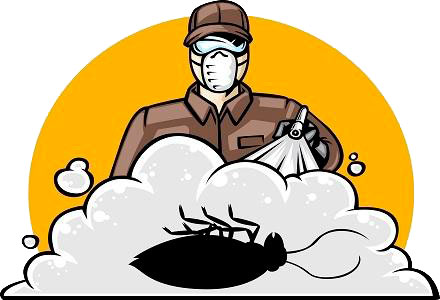 Fumigación y Control de Roedores